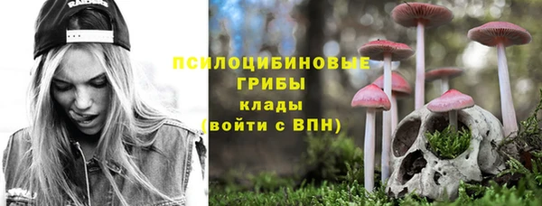МДПВ Абинск